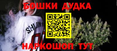 МДПВ Аша
