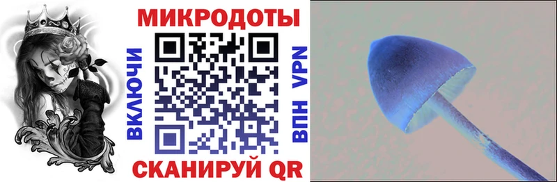 Галлюциногенные грибы Psilocybe  закладка  Черемхово 