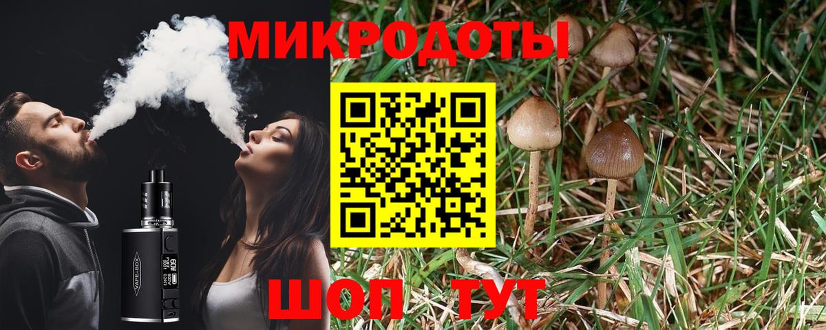 Галлюциногенные грибы GOLDEN TEACHER  Вход с VPN  Галлюциногенные грибы Cubensis  купить наркоту  Черемхово 